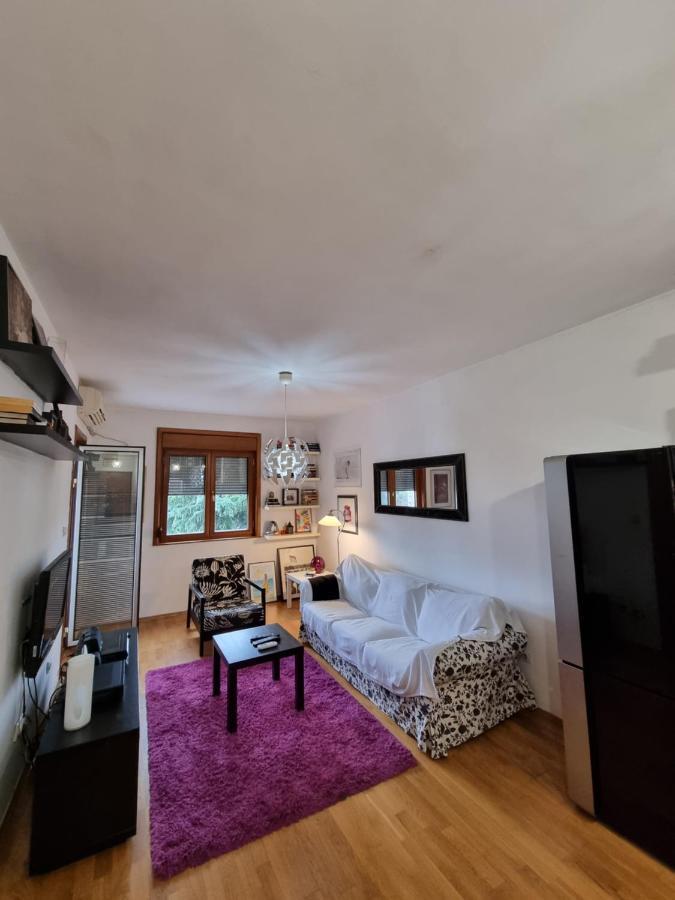 One Bedroom Centre Apartment พอดโกริกา ภายนอก รูปภาพ